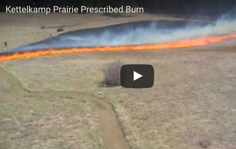 Belwin Kettlecamp Prairie burn